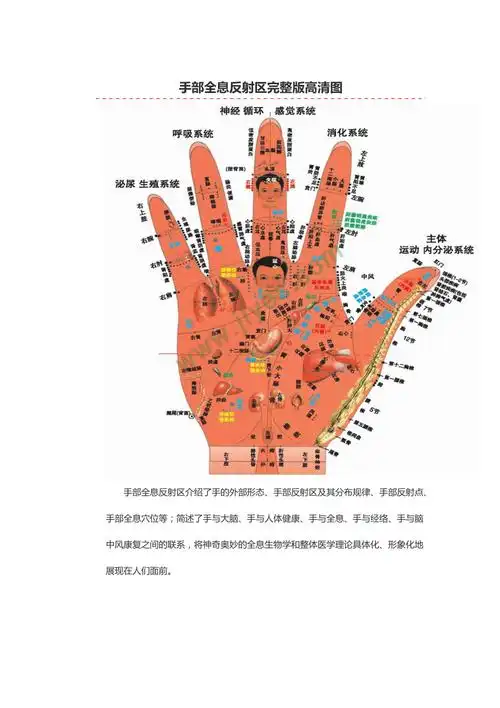手部全息反射区完整版高清图