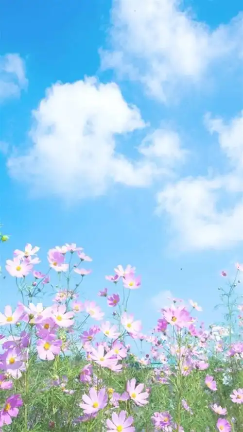 唯美风光,自然美景,蓝天,大海,白云,沙滩,手机壁纸小清新蓝天风景