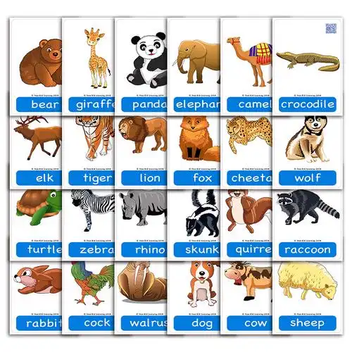 儿童英语动物单词animals启蒙闪卡幼儿园教师早教早教闪卡