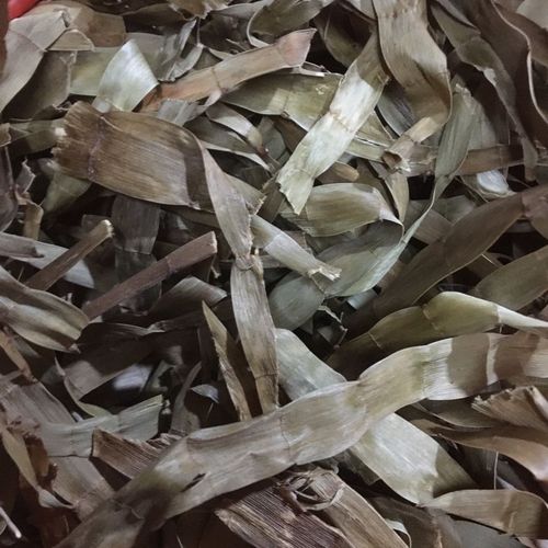 精选无杂飞天蜈蚣草神仙对坐草石上蜈蚣落地蜈蚣百足草干货500克