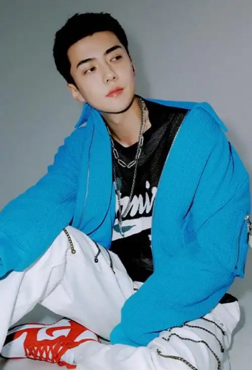 exo先行曲hearmeout##吴世勋