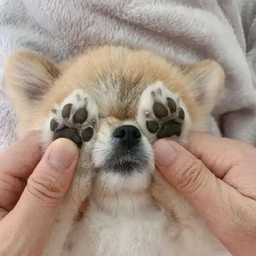 微信头像一眼爱上