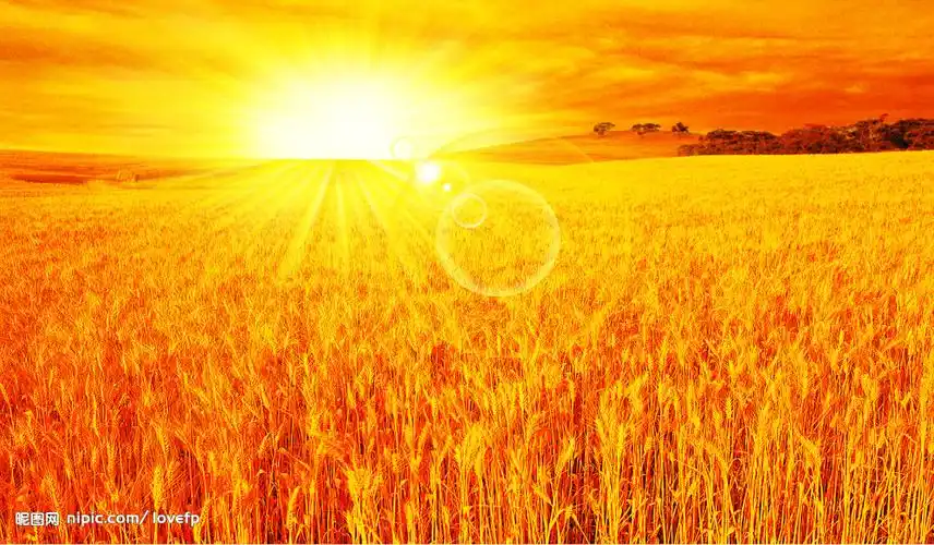 丰收景象设计图__风景_psd分层素材_设计图库_昵图网nipic.com