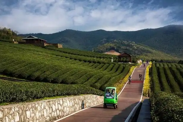 国家级阳羡生态旅游度假区发力优质项目