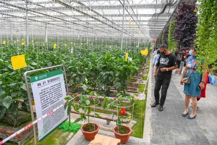 第二十届中国长春国际农业·食品博览会开幕