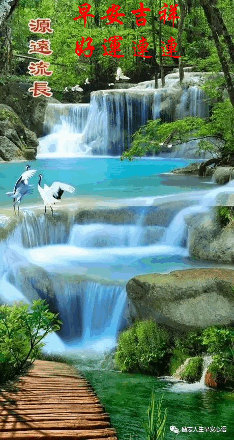 460_863竖版 竖屏gif 动态图 动图