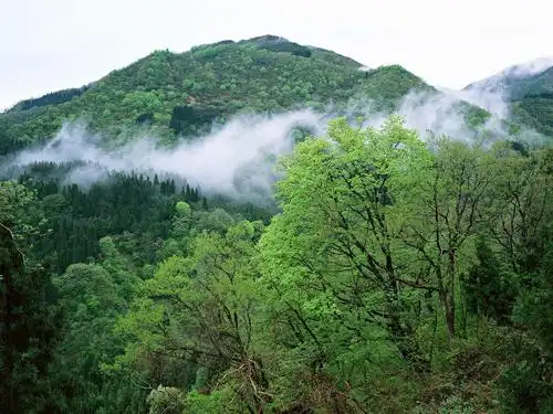 美丽的夏天的风景在山上.