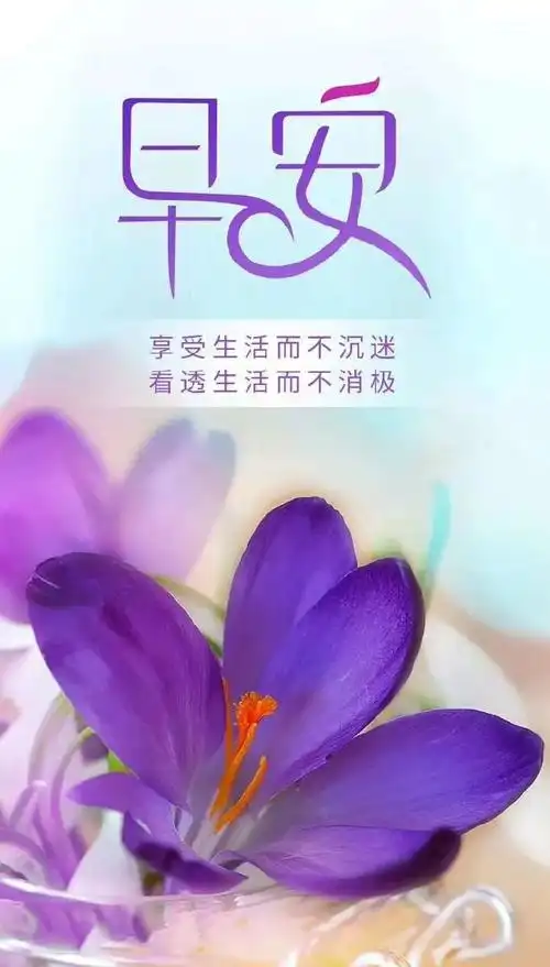 清晨最棒的早安图片正能量文字