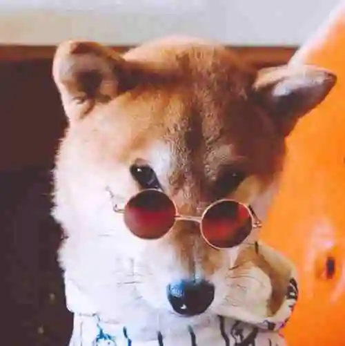 霸气迷人的李狗蛋丶