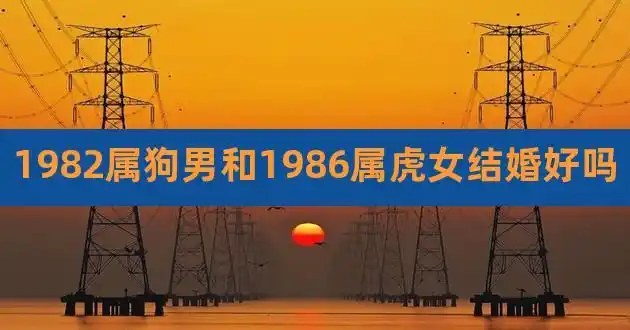 1982属狗男和1986属虎女结婚好吗,属狗男心里有你的表现