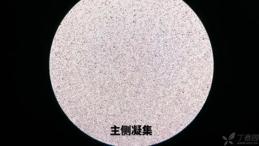 丁香园论坛 - 专业医生社区,医学,药学,生命科学,科研学术交流