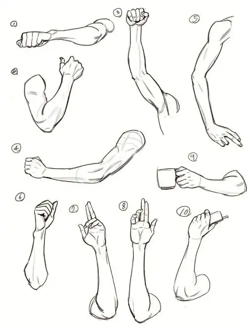 手臂的绘制参考