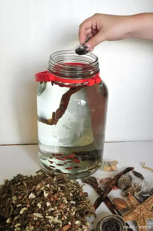 药酒并不是简单的把药材加入酒中浸泡即可