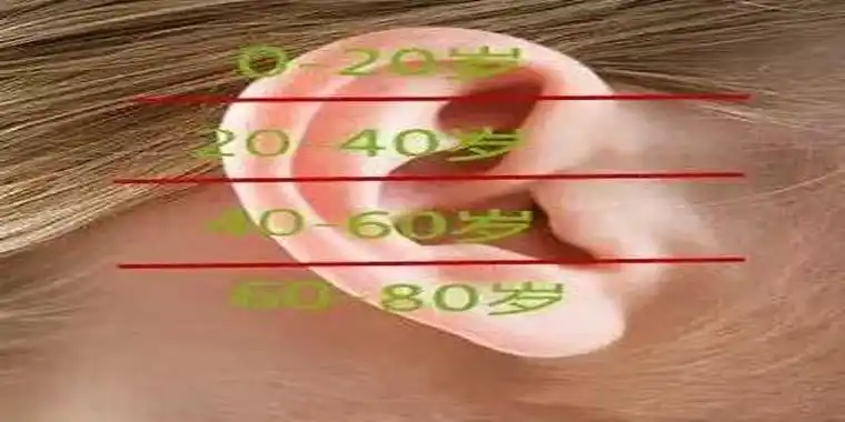 周易面相学耳朵传统相法秘技