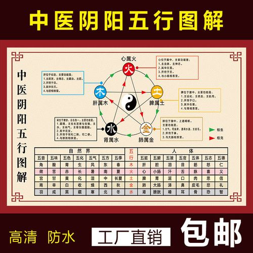 中医养生馆五行图解挂图挂画定制 人体五行五脏相生相克海报贴图