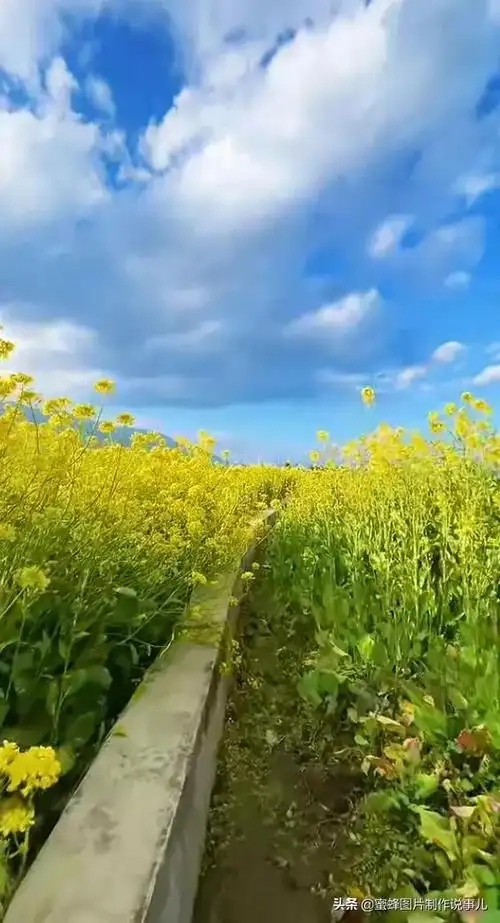 精选唯美养眼大自然风光图片壁纸,壁纸图片 风景 绿色 养眼(大自然