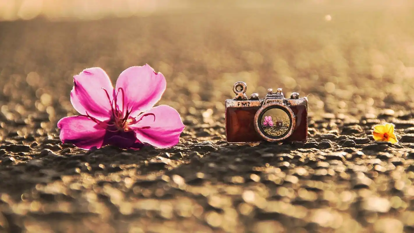 复古文艺的照相机图片桌面壁纸一,复古文艺又唯美的照相机摄影图片,这