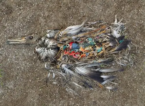 彷如末日景象的地球之殇