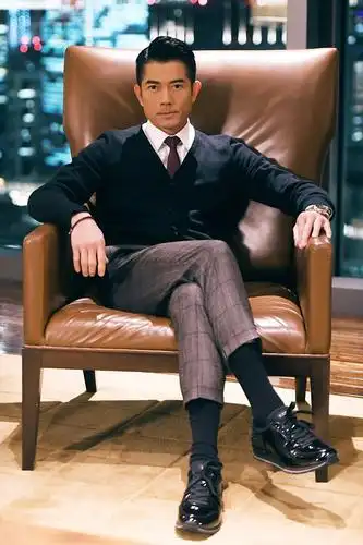 郭富城 aaron kwok的图片