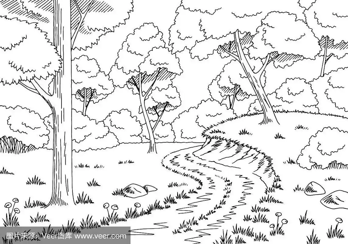 森林道路图形黑白景观素描插图矢量