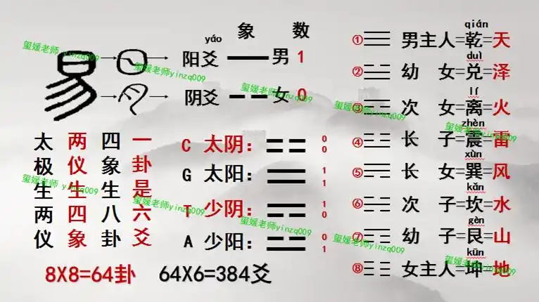 咨询方式!周易预测生男生女口诀法详解"灯火辉煌"-第1张图片-蒲场网