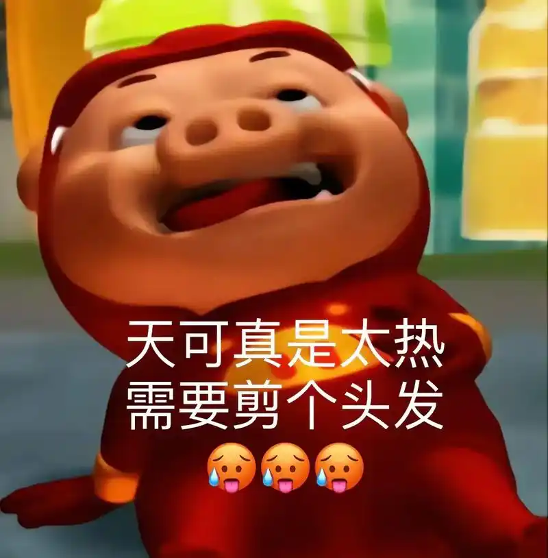 猪猪侠贴图  卑微理发!#gg爆 #猪猪侠表情包 #猪猪侠  - 抖音