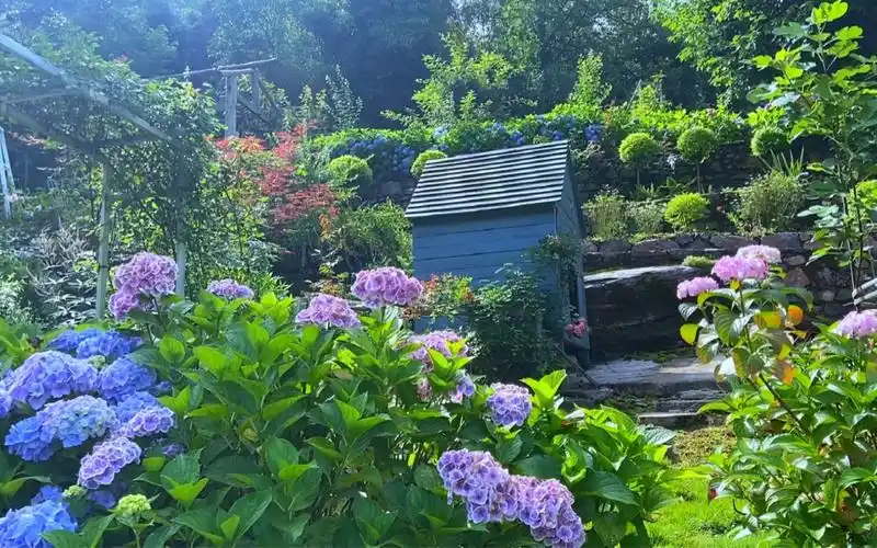 乡村花园的夏天