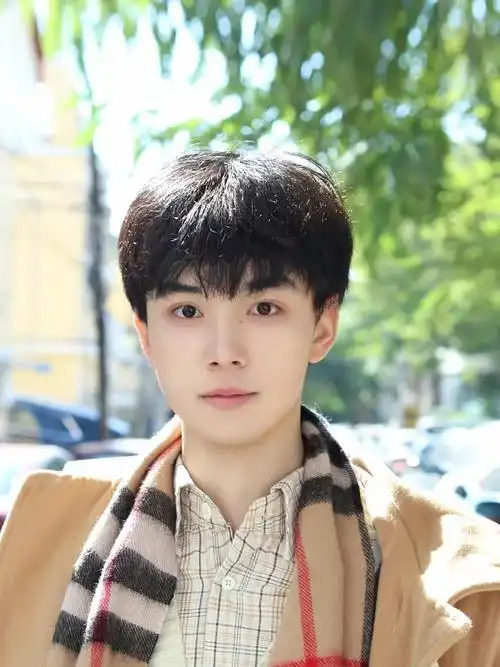 假发短发韩式网红蓬松碎盖头套自然日常仿真日常整顶假发