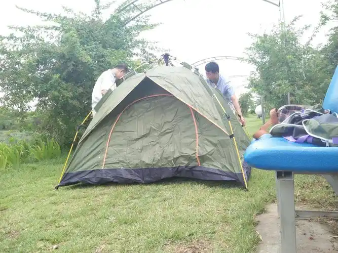 太阳出来了,他们很快返回来,给我支起帐篷