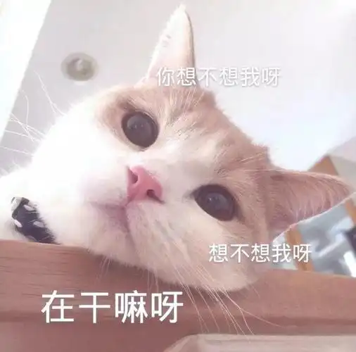 撩女朋友的表情包 30张撩妹必备情话表情