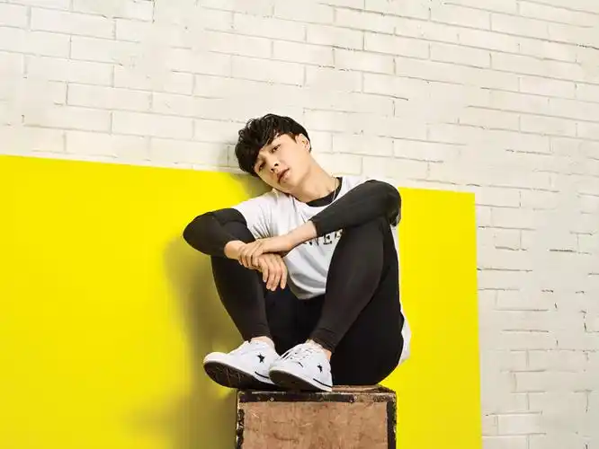 lay zhang x converse