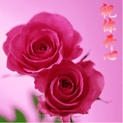 祝福 祝你幸福 祝你开心 鲜花 花瓶