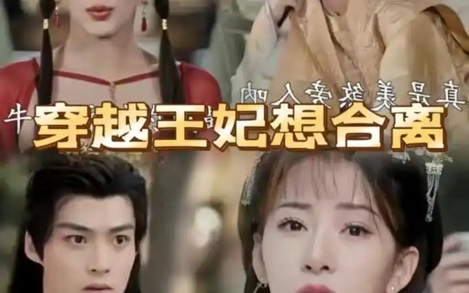 穿越王妃想和离