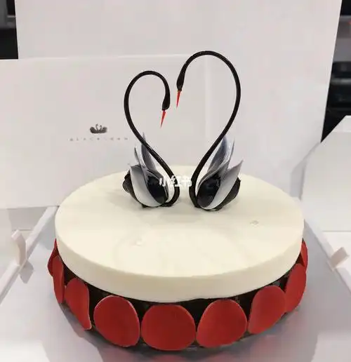 黑天鹅外卖员是干嘛的,一个月工资多少?_百科-8s新商盟