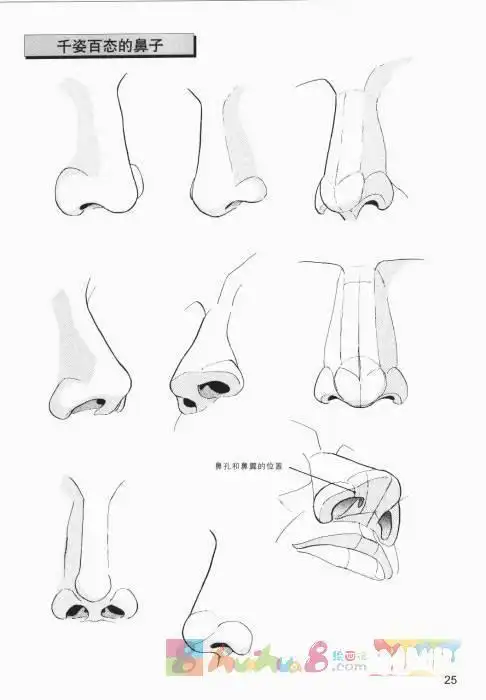 简笔画图片大全-蒲城教育文学网鼻子的侧面怎么画教宝宝学画绘画鼻子