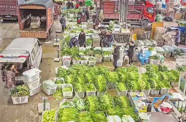 实探重庆最大农产品批发市场菜篮子果盘子肉案子量足价稳