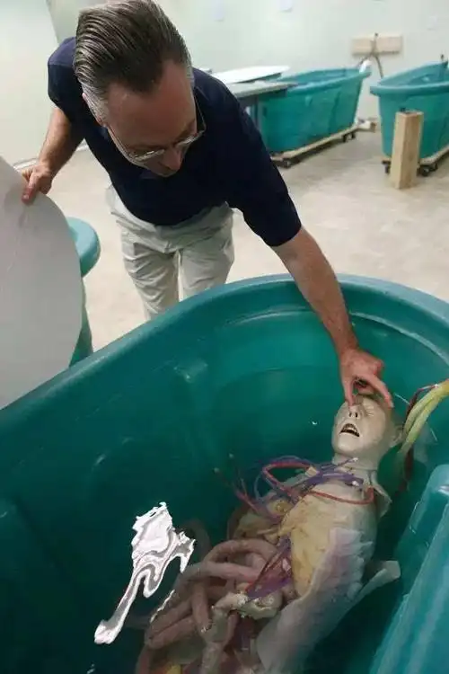 死尸工厂揭秘 尸体工厂怎么处理分解尸体