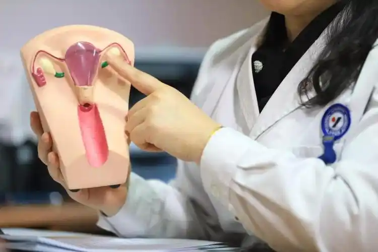 amh水平能够预测卵巢反应性,识别有卵巢过度刺激综合征风险的女性,可