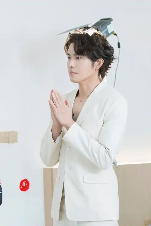 钟汉良代言tineco添可