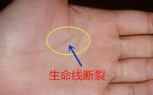 手掌生命线分析 一个人命运的长短差别 -996手相网