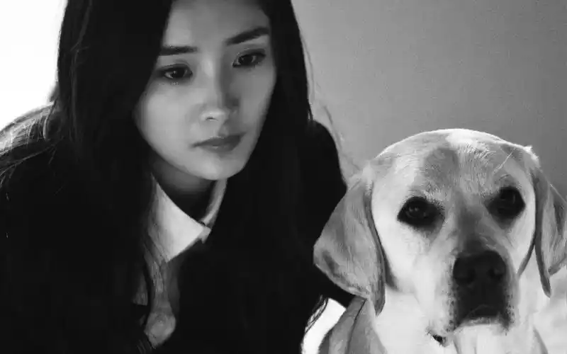 电影《我是证人》杨幂高清剧照电脑桌面壁纸下载3