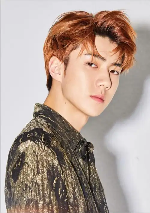 exo吴世勋loveshotdigitalbooklet5thalbumrepackagesehun