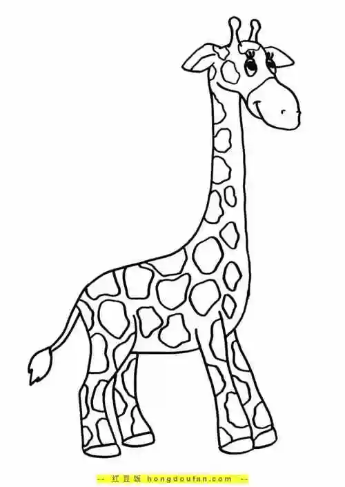 11张美丽的高个子动物长颈鹿有趣的动物涂色图片-红豆饭小学生简笔画