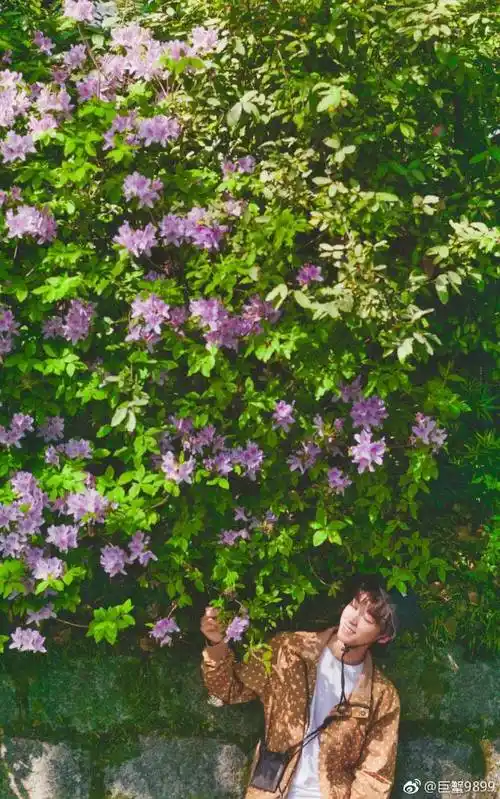 tfboy 王俊凯 壁纸