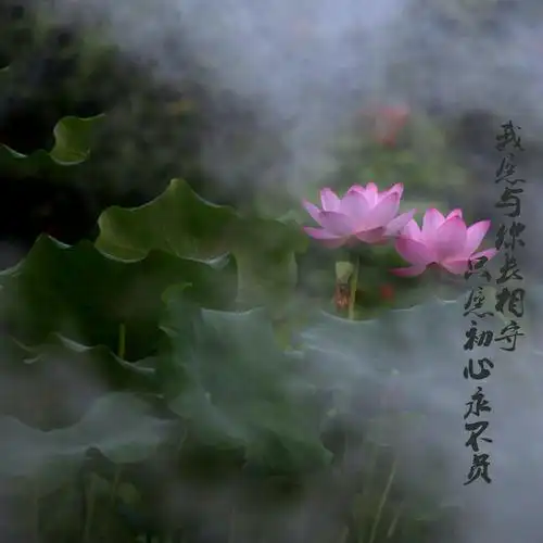 心若宁静,岁月无痕