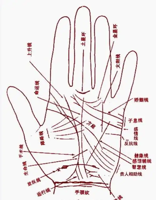 值得托付终身的男人手相