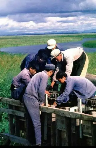 70年代的农村老照片,每个70后都是满满的回忆