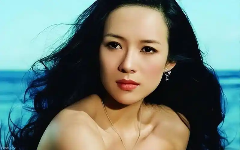 章子怡_演出_先生