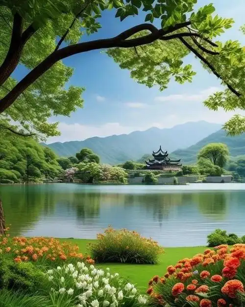 属虎的你,2024年的"三宝"秘籍,别让幸福擦肩而过!