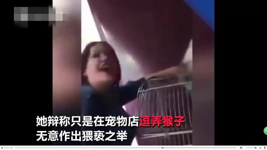 原创25岁女子摸猴子生殖器取乐 视频疯传后被判"性骚扰"监禁3年